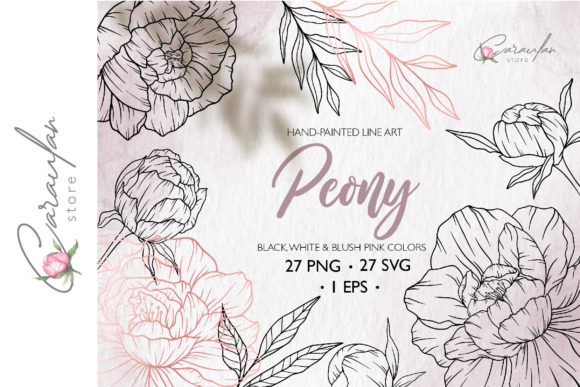 Download Peonies Line Drawing, Floral Line Art - Wing Collection