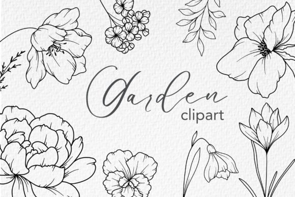 Download FLOWERS LINE DRAWING, Floral Line Art - Wing Collection