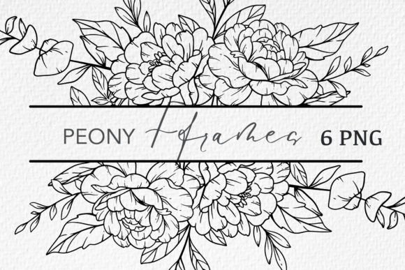 Download Floral Line Art, Peony Line Drawing - Wing Collection
