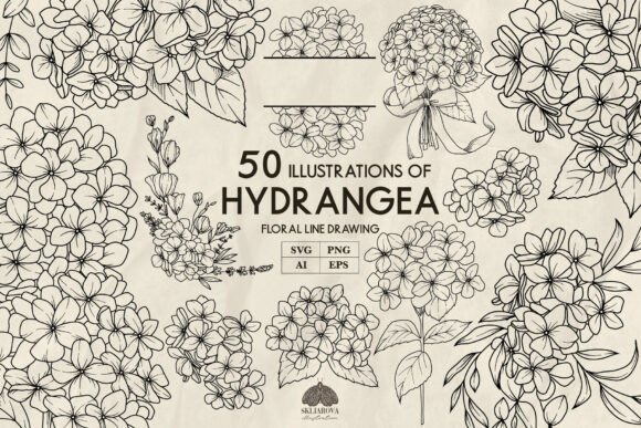 Download Hydrangea Line Drawing Svg - Wing Collection